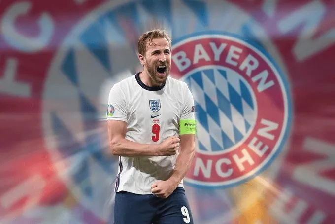 他们都将为 他们都将为